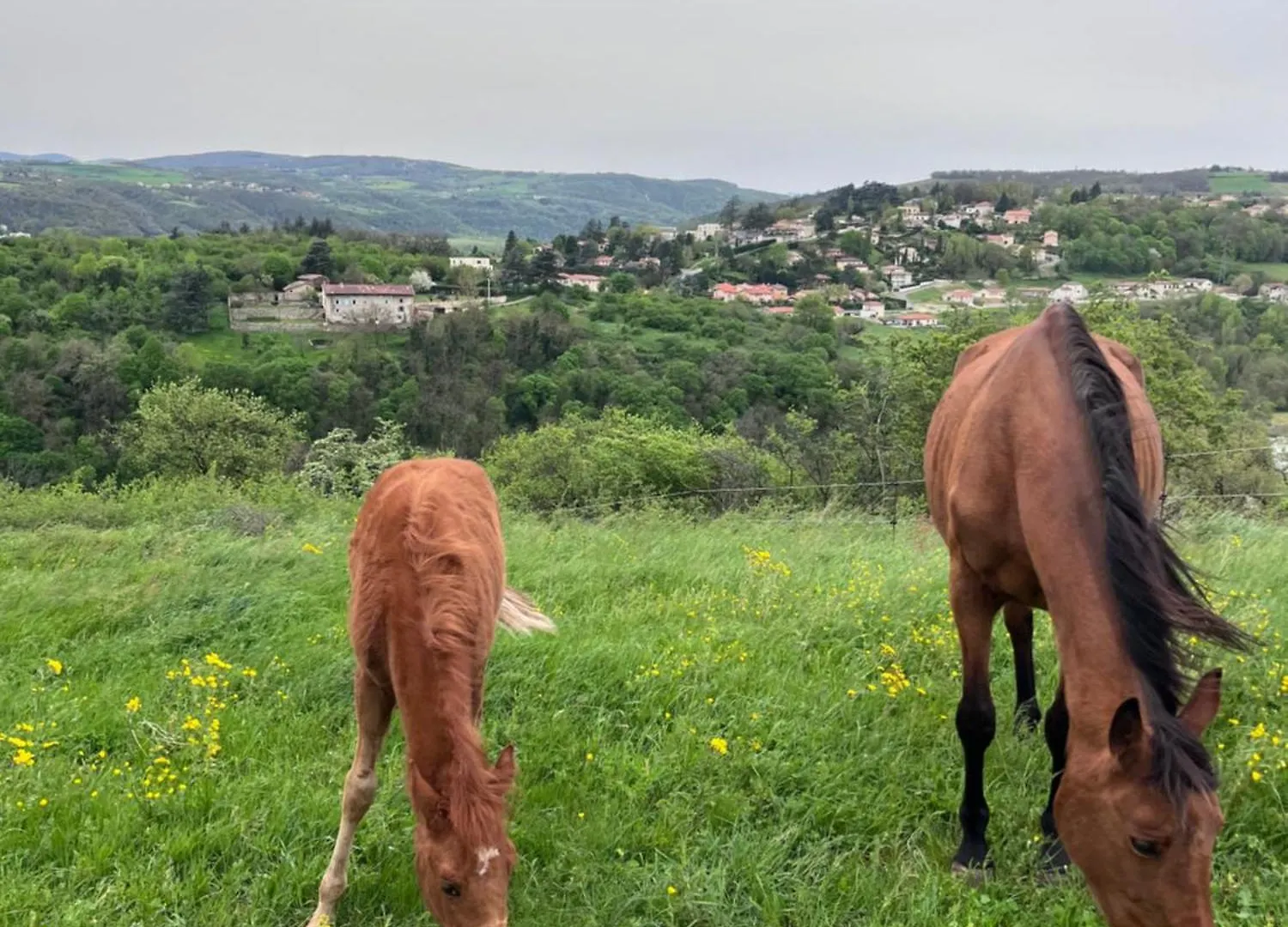 Hotel Les Petites Bulles De Massier Vienne  Vienne (Isere)